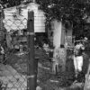 Backyard Scene, Belleville, Illinois, 2024
