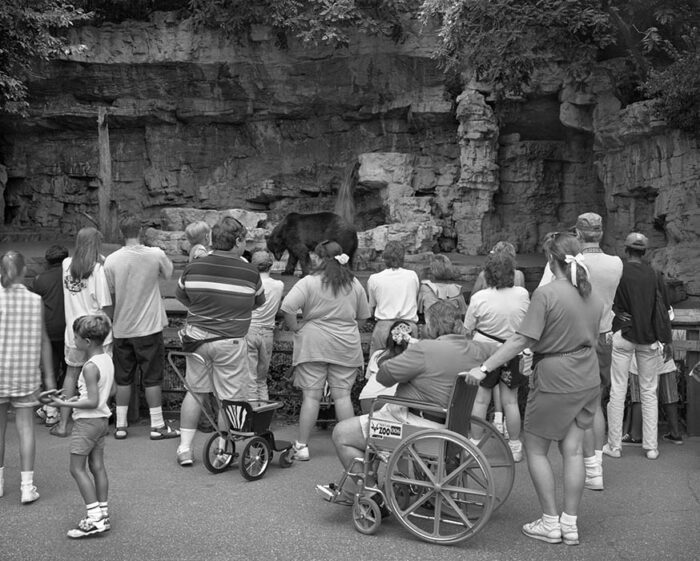 Black Bear Habitat, St. Louis Zoo, 1997
