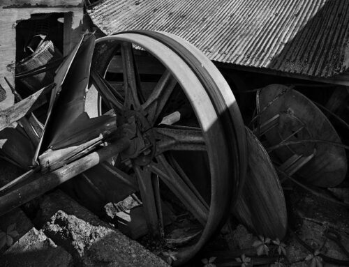 Drive Wheel, Grain Elevator, Montgomery County, Illinois, 2025