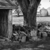 Farm, Near Hecker, Illinois, 2024