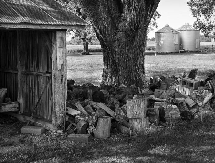 Farm, Near Hecker, Illinois, 2024
