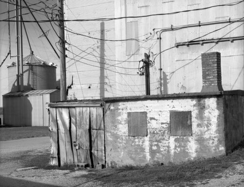 Grain Elevator, Montgomery County, Illinois, 2024