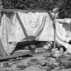 Homeless Shelter 2, Chouteau's Landing, 2024