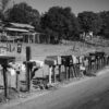 Mailboxes, Mariposa County, California, 2014