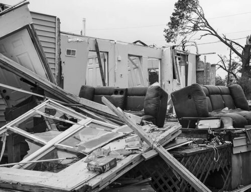 Demolished Home 14, North St. Louis, 2025