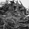 Uprooted Tree, Demolished House, North St. Louis, 2025