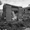 Demolished Business, Cote Brilliante School, North St. Louis, 2025