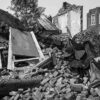 Demolished House, Uprooted Tree, North St. Louis, 2025