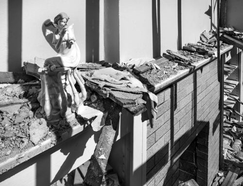 Statuette, Living Room, North St. Louis, 2025